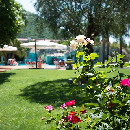 Albani Hotel
